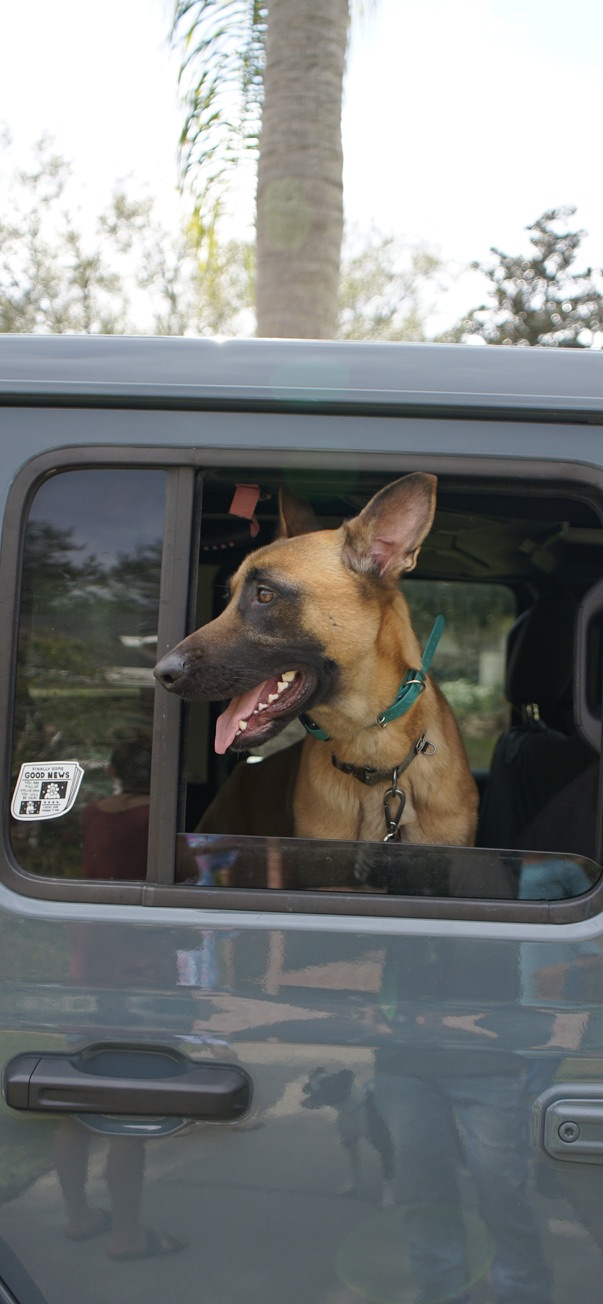 Safe and comfortable transportation