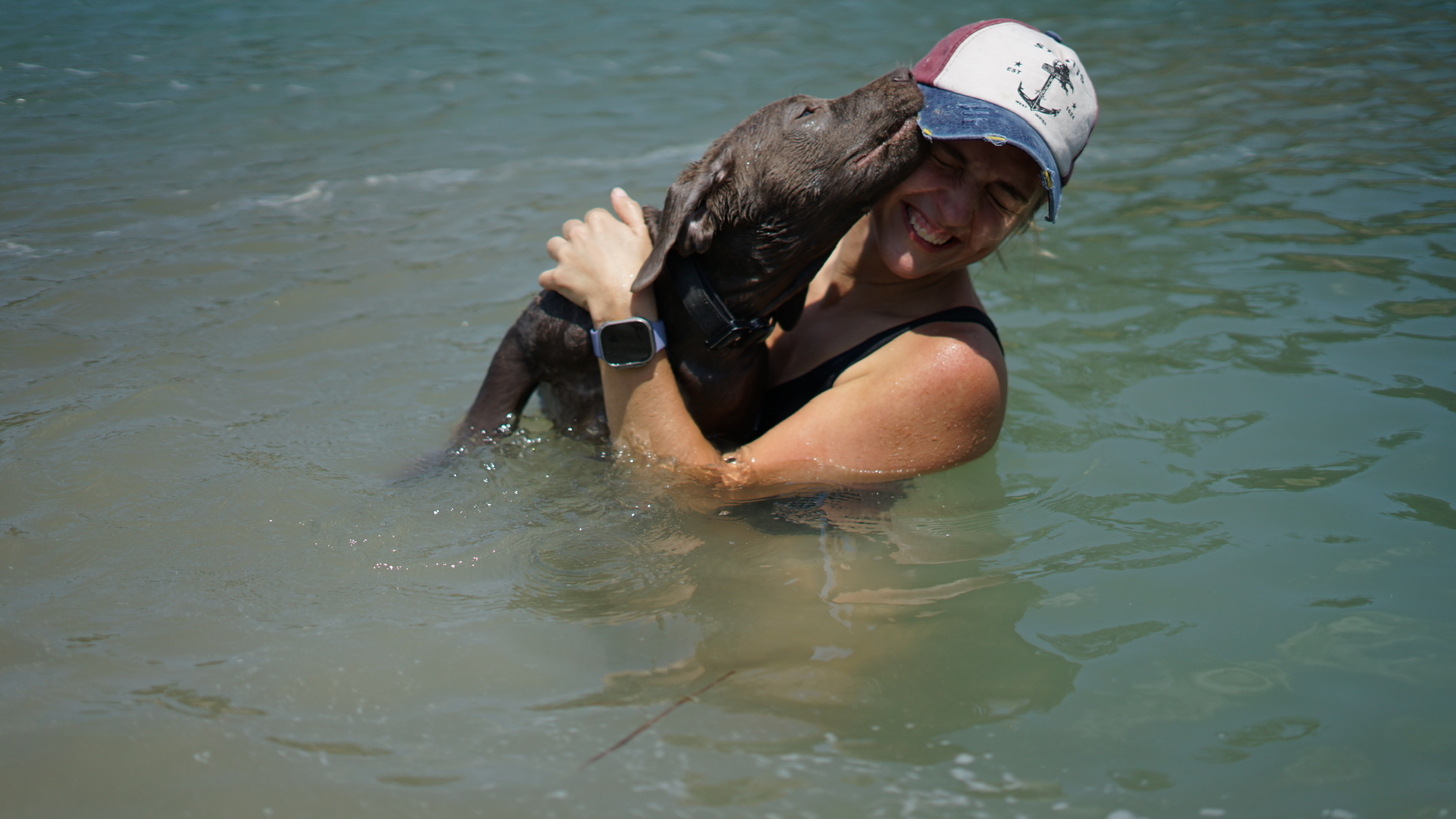 Dogs enjoying adventure time at our 100-acre facility